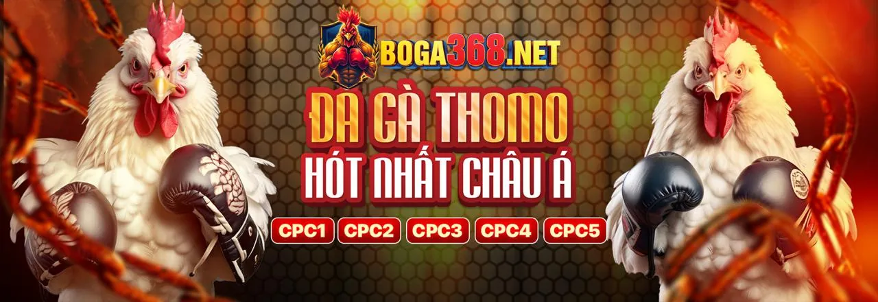 Đá gà trực tuyến kịch tính tại banca28 web
